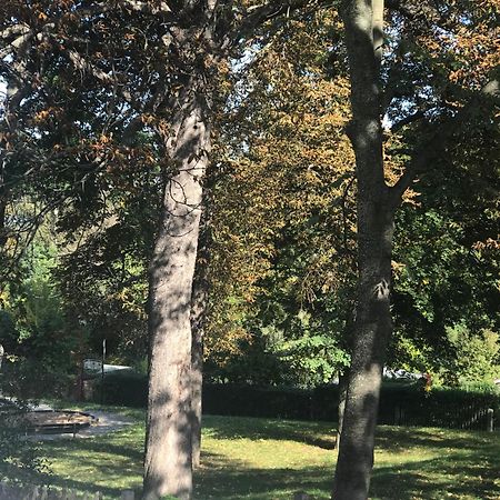 Domizil Eutschuetzgruen Apartman Bannewitz Kültér fotó